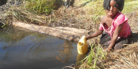 women_walk-for-water